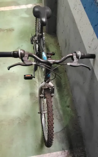 Bicicleta infantil de montaña