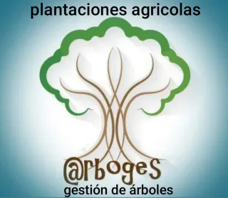 Plantaciones  para reforestación ARBOJES