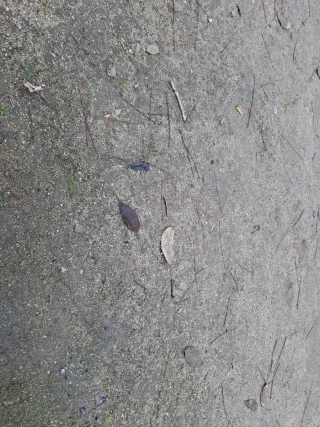 Mono de trabajo talla M