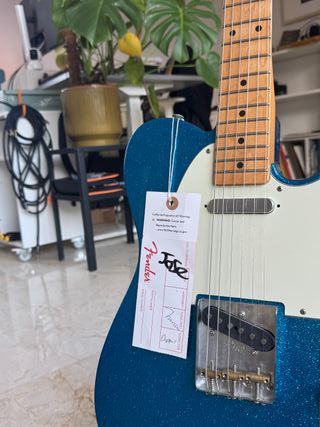 Fender Telecaster Blue Flake JMascis