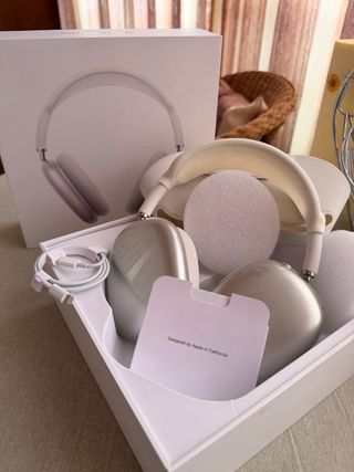 Apple AirPods Max Plata con protecciones