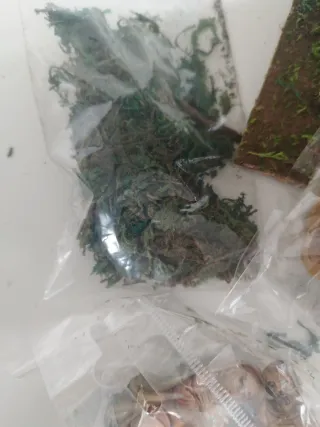 Portal de Belén con figuras