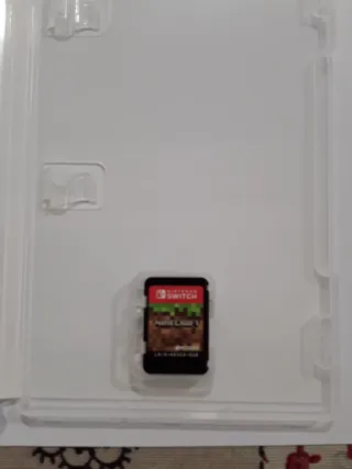 Minecraft Nintendo Switch