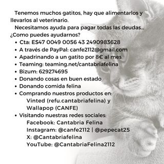 Juego de Cartas Virus!