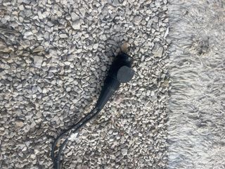 Portabicicletas con matrícula y luces