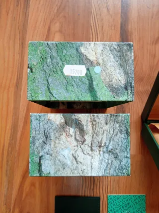 Caja Rolex 90's - Verde