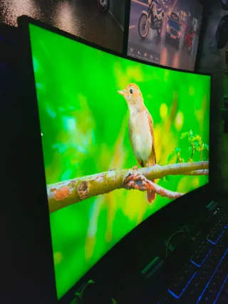 Monitor Curvo 32 MSI