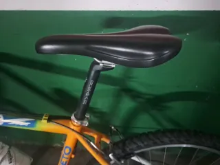 Bicicleta Orbea Zeus Grande