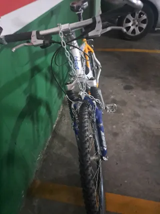 Bicicleta Orbea Zeus Grande