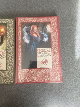 Lote libros excalibur