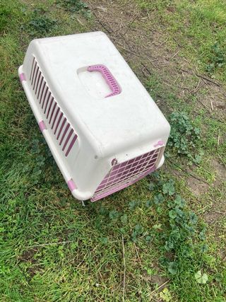 Transportín mediano