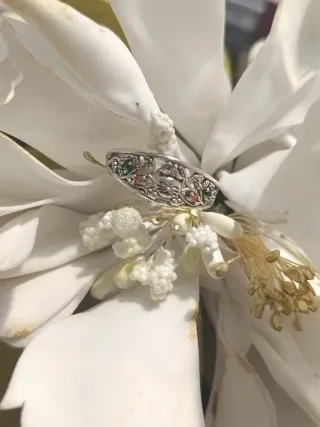 Anillo Plata Multicolor