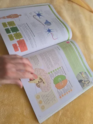 BIOLOGIA I GEOLOGIA 1 ESO CONSTRUIM MONS