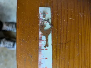 Colgante Patinadora Plata