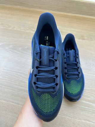 Nike Air Zoom Pegasus 41