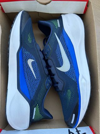 Nike Air Zoom Pegasus 41