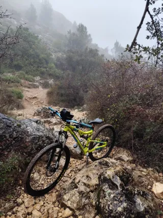 Bicicleta Cannondale Rush Talla S