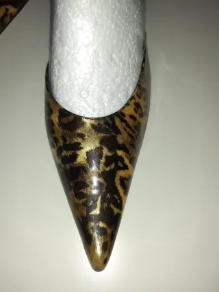 Zapatos elegantes nuevos