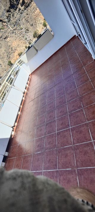 Servicios de Jardinería