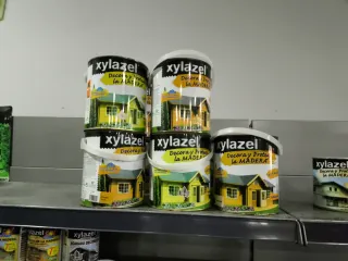 Xylazel Lasur Satinado 2.5L