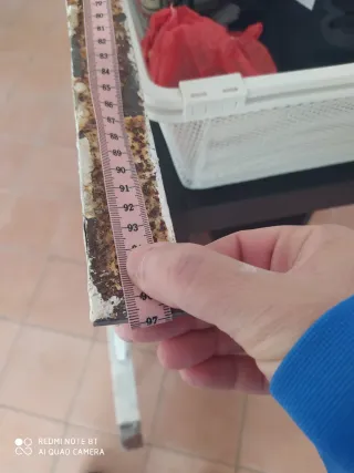 Reja de ventana de hierro