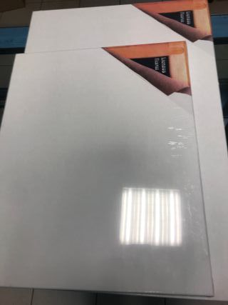 2 lienzos 55x38 y 41x33