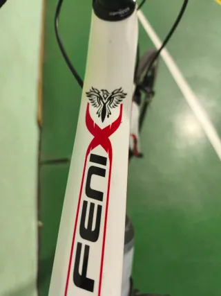 Bicicleta Carretera Ridley Fénix SL Talla L