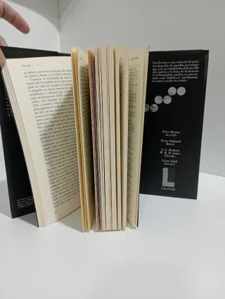 Erasmo / Erasmus (Spanish Edition)