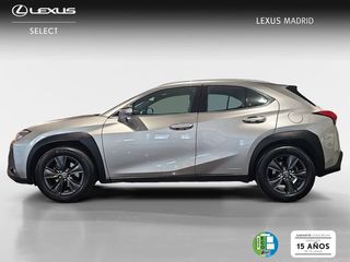 Lexus UX 2.0 250h Business Navigation