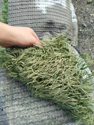 Césped artificial para exterior 692443514