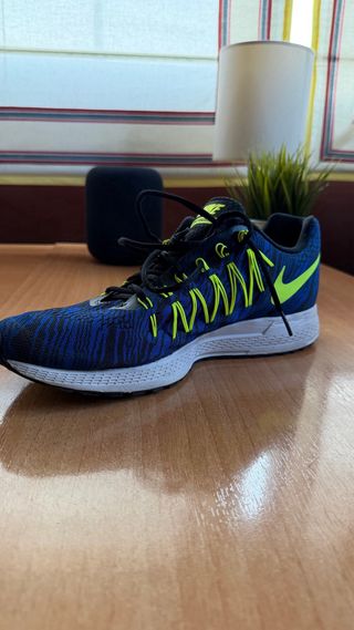 Zapatillas Nike Pegasus 33
