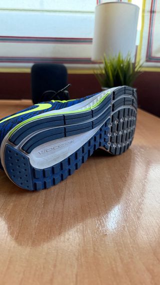 Zapatillas Nike Pegasus 33