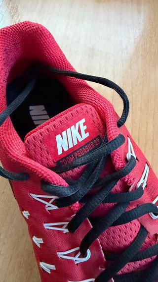 Zapatillas Nike Pegasus 33