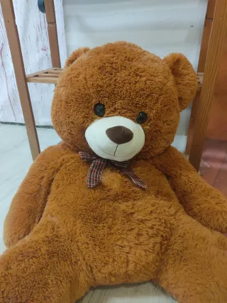 Lote Peluches Oso y Dragón