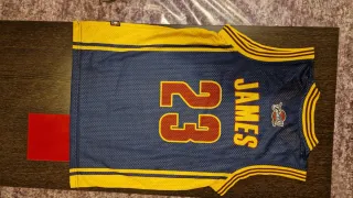 Maglietta NBA Adidas LeBron James 23 Taglia S