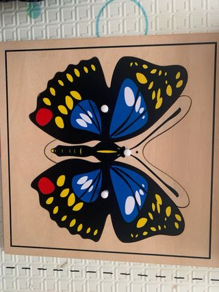 Puzzles Montessori animales y planta Mumuchu