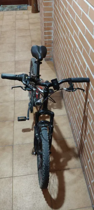 Bicicleta infantile 20