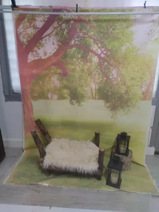 Fondo estudio fotografía árbol y marrón