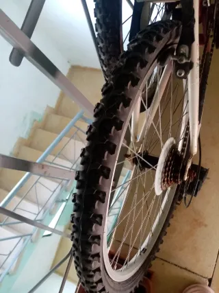 Bicicleta Montaña Niña