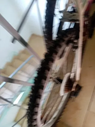 Bicicleta Montaña Niña