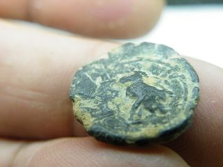 Moneda Antigua Jabalí Castulo