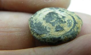 Moneda Antigua Jabalí Castulo