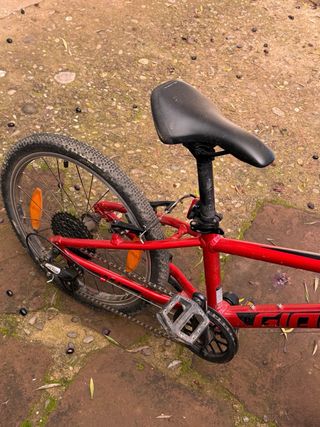 Bicicleta Infantil Roja Marca Giant