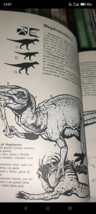 Guia De Campo De Los Dinosaurios