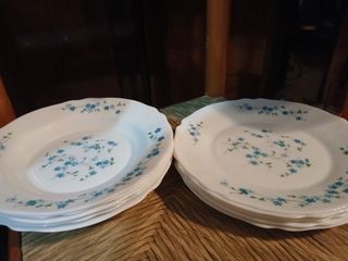 Piatti Arcopal Fioriti Azzurri