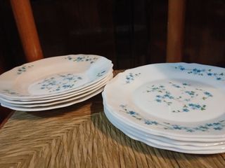 Piatti Arcopal Fioriti Azzurri