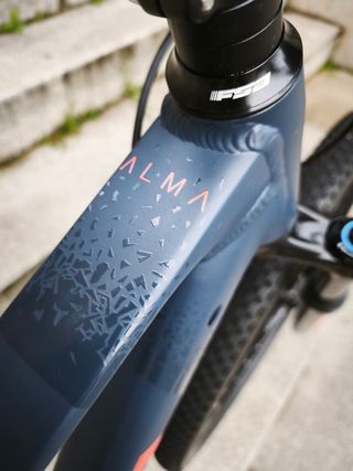 Orbea Alma MTB
