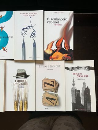 Libros literatura clásica española