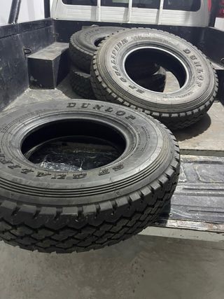 Neumáticos 225/95 R16C: 3 Dunlop y 1 Bridgestone