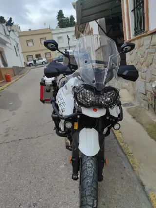 Moto Triumph Tiger 800